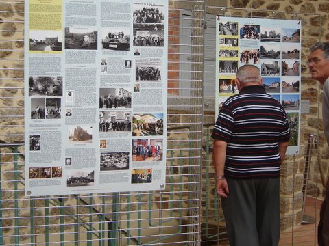 order alesse onlinealeve d